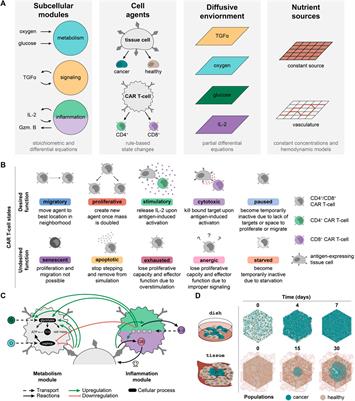 Mapping CAR T-Cell Design Space Using Agent-Based Models